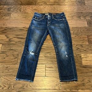 Pilcro and The Letterpress Anthropologie Slim Boyfriend Crop Size 27